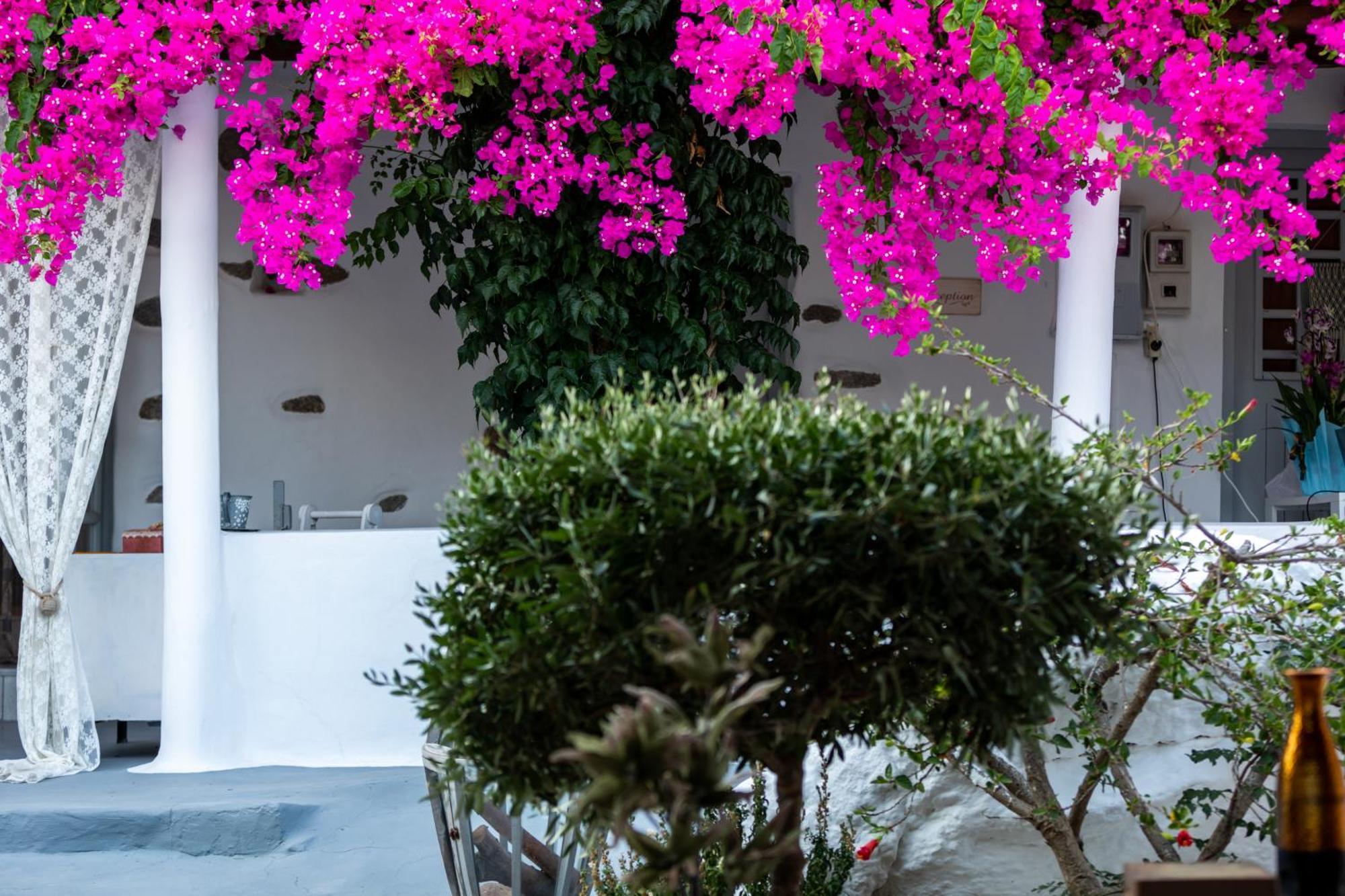 Sunrock Suites Stelida  Esterno foto